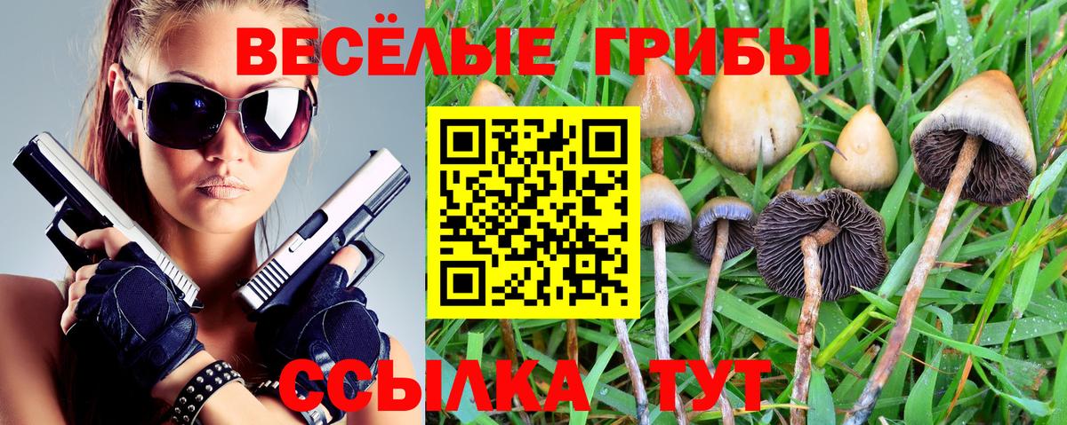 Галлюциногенные грибы Cubensis  Вход с VPN  Галлюциногенные грибы GOLDEN TEACHER  Тихвин 